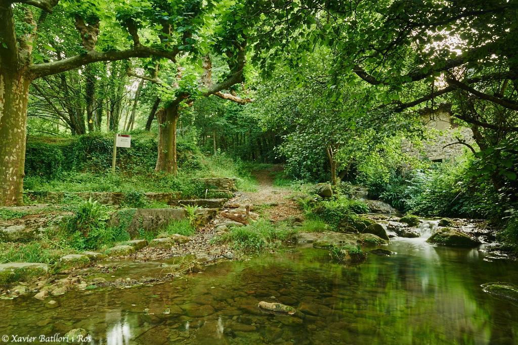 Sant Felíu de Pallarols Apartamentos Fonda Finet מראה חיצוני תמונה